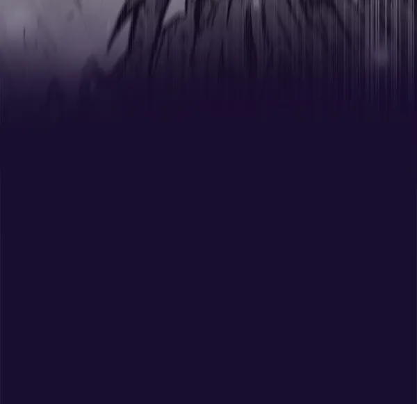 第300页