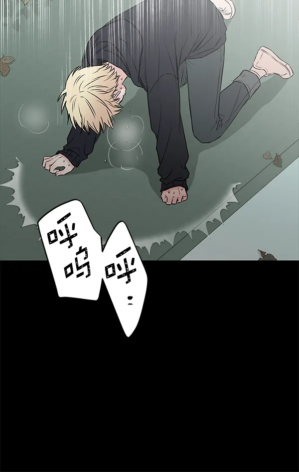 第243页