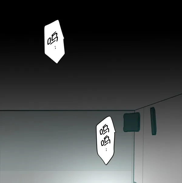 第291页