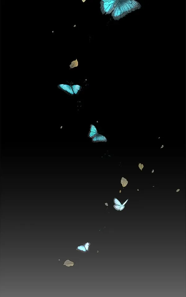 第462页