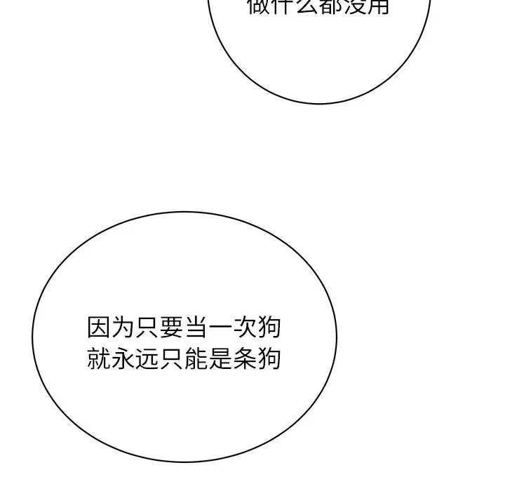 第243页