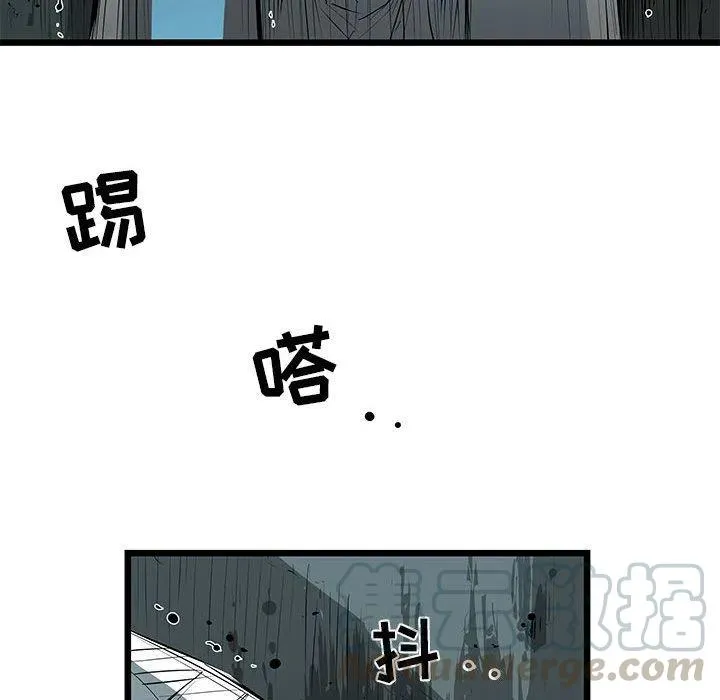第528页