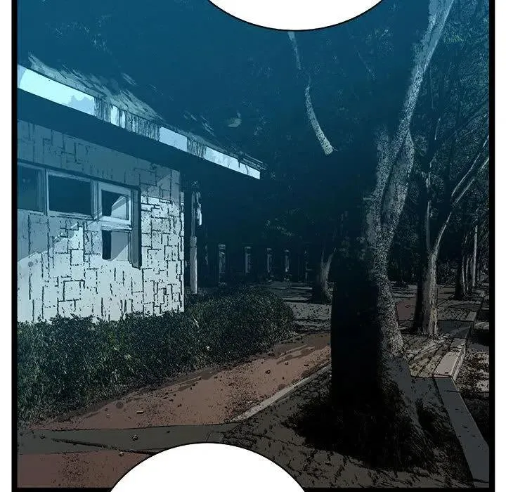 第243页