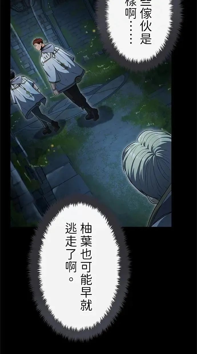 第231页