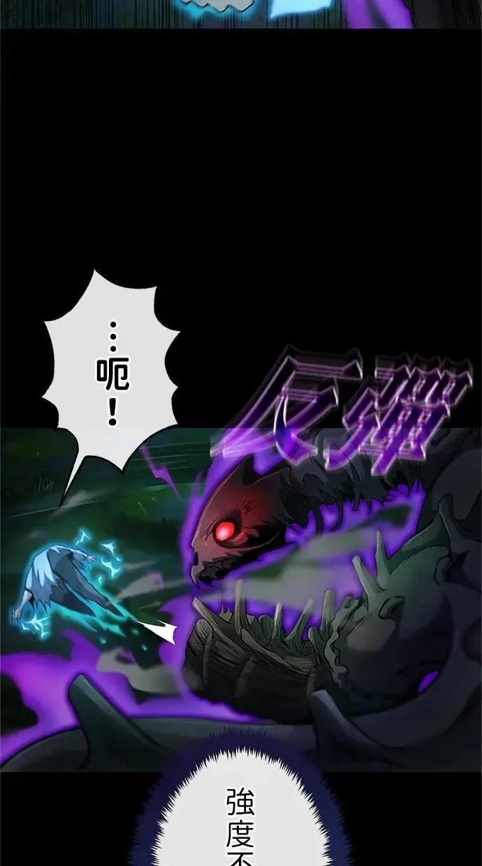 第195页