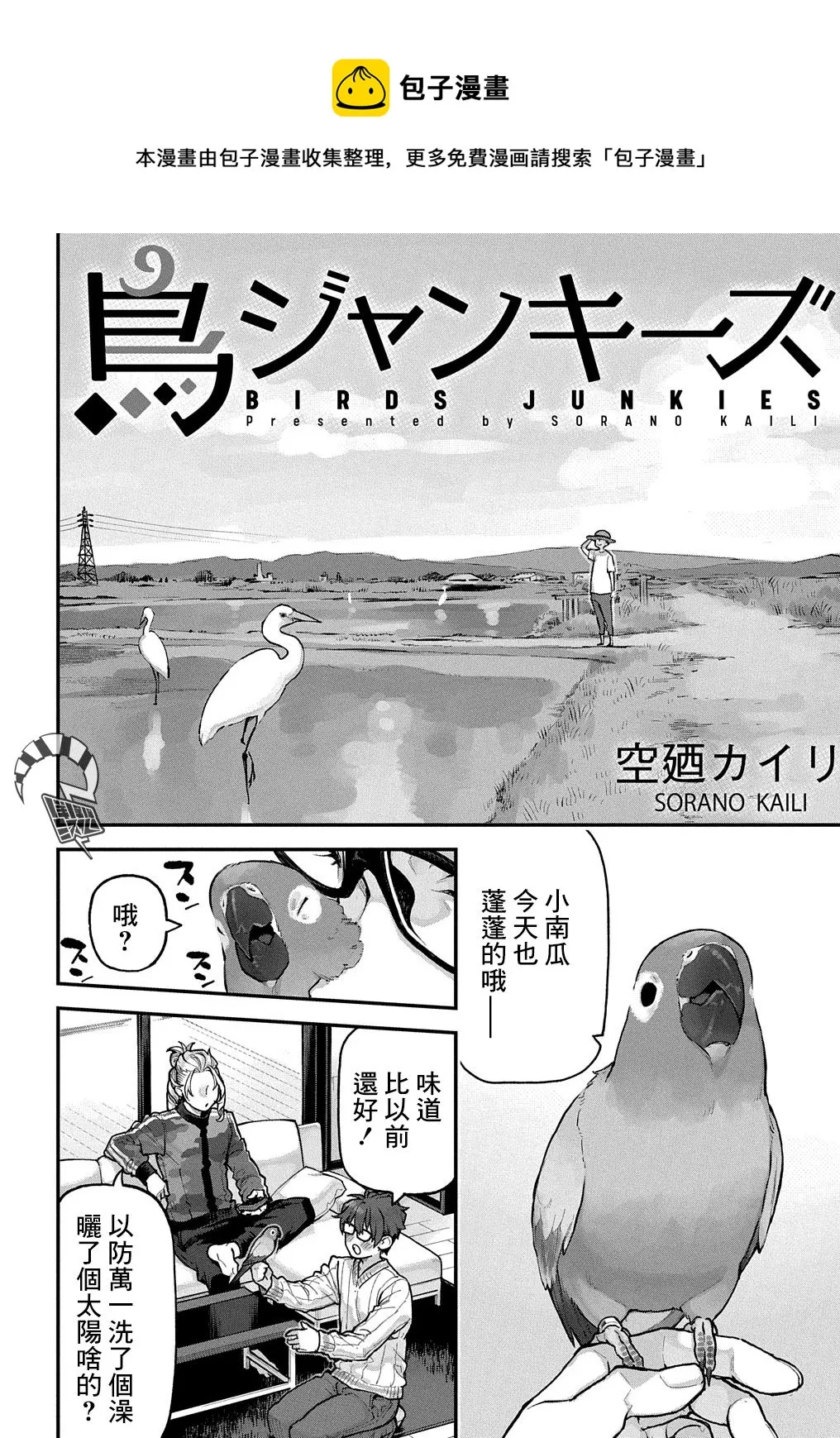 第0页