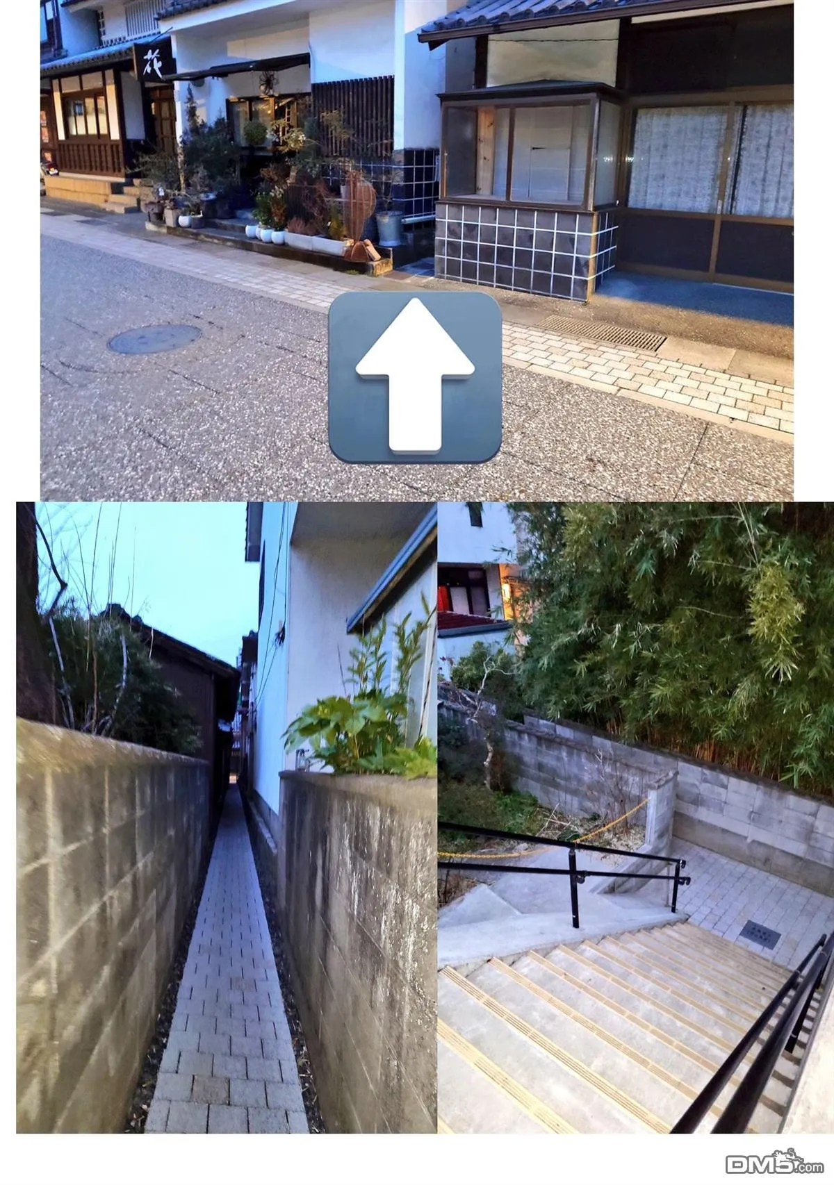 第81页