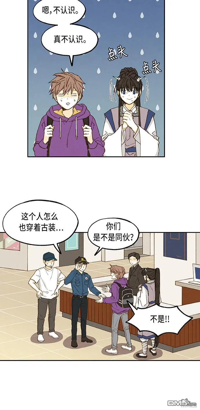 第51页