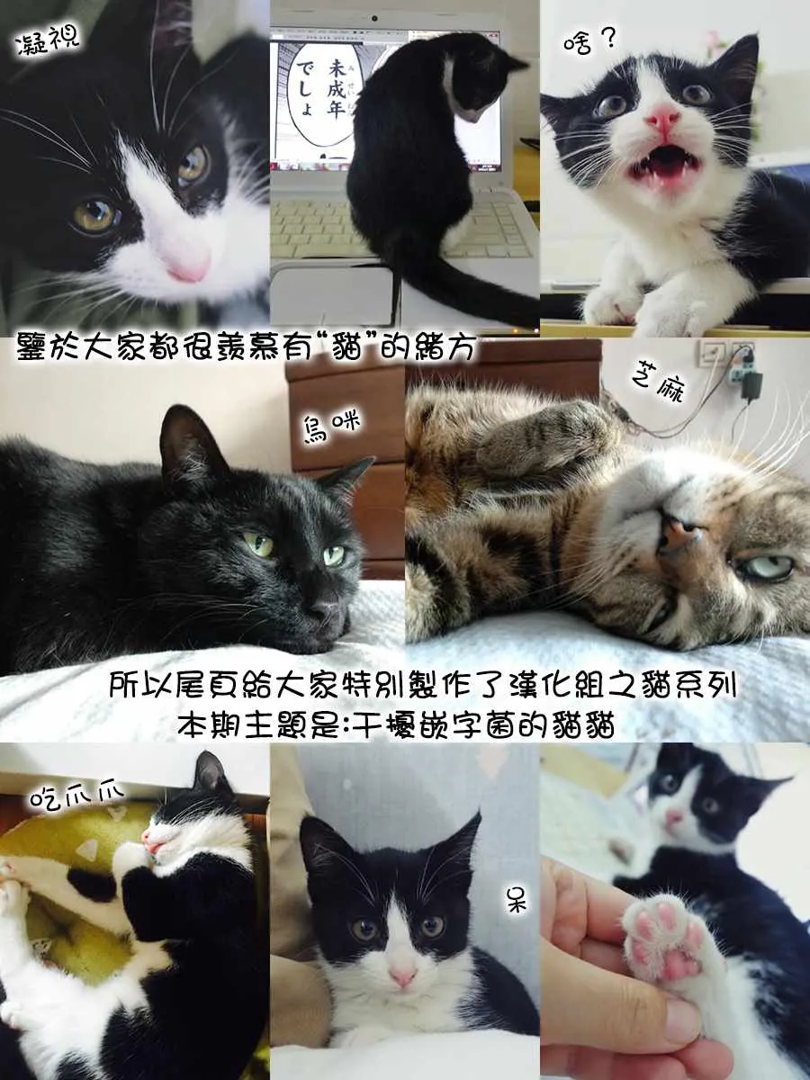 第114页