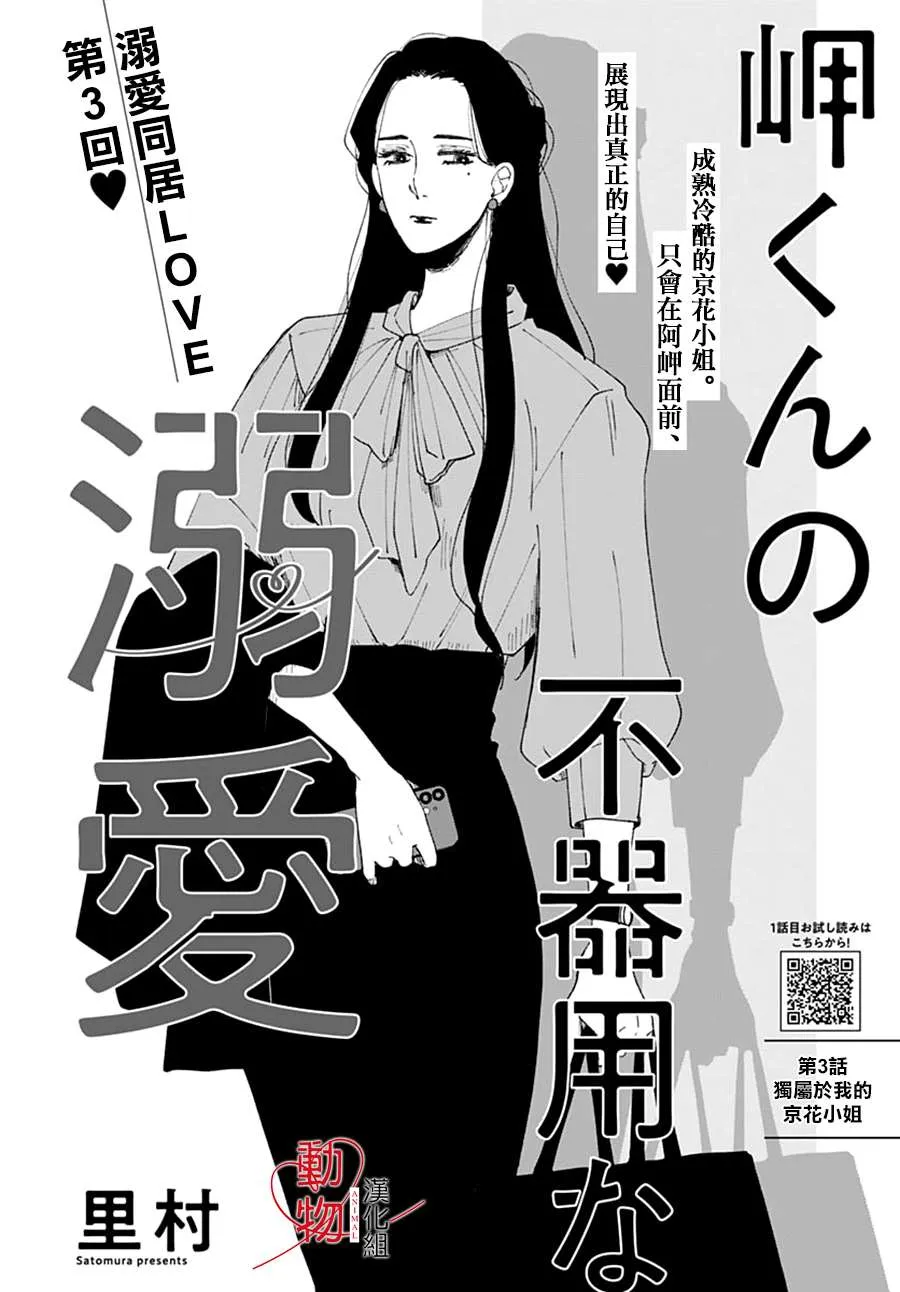 第3页