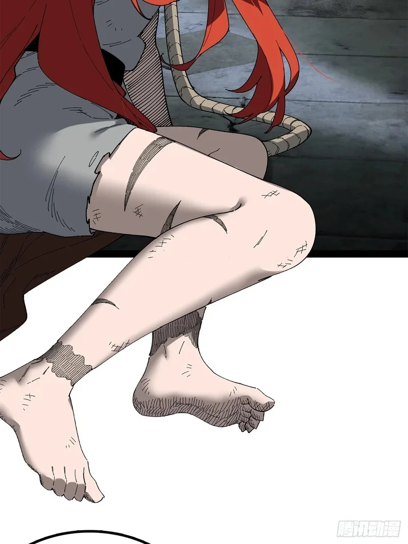 第231页