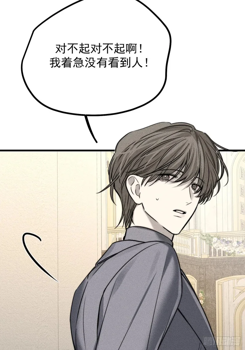 第204页