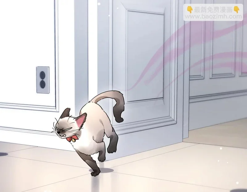第243页