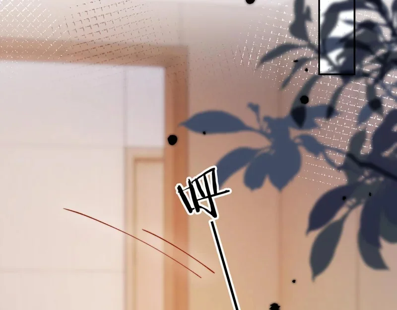 第276页