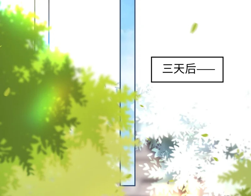 第255页