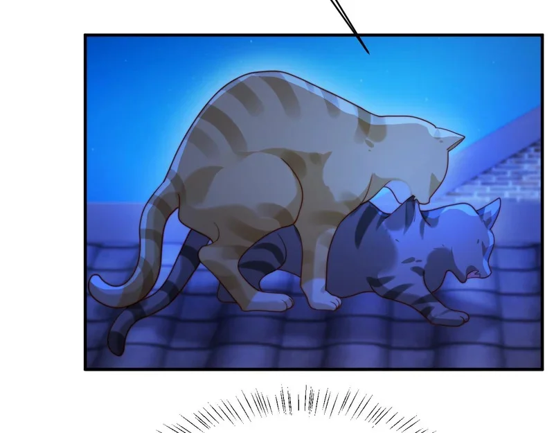 第243页