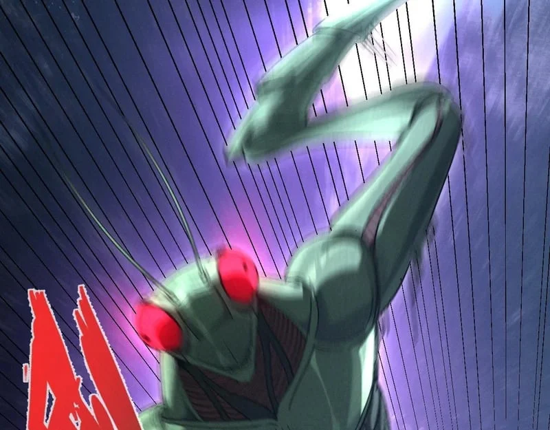 第255页