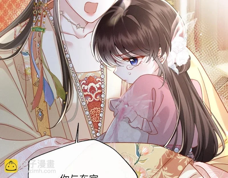 第204页