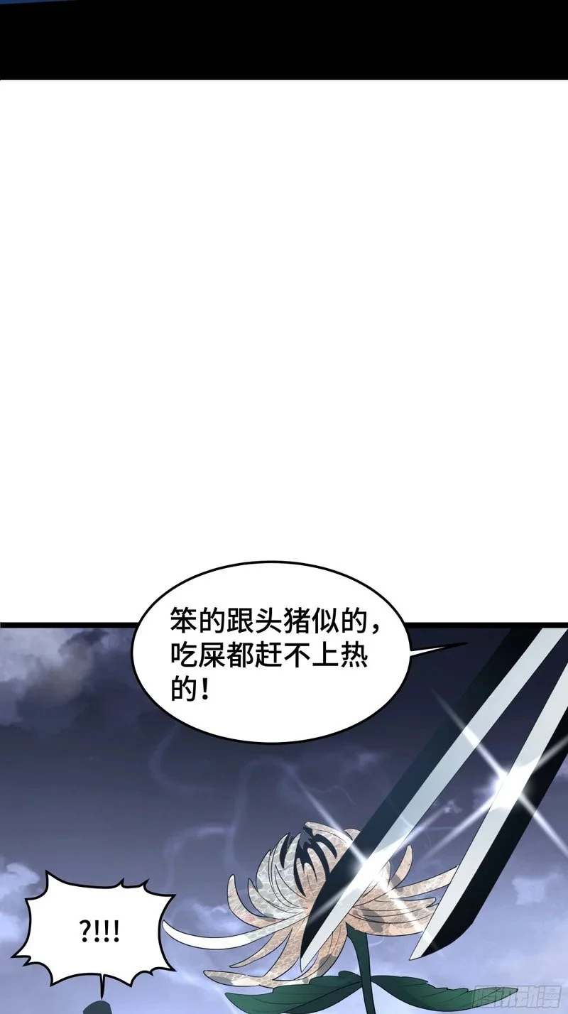 第204页
