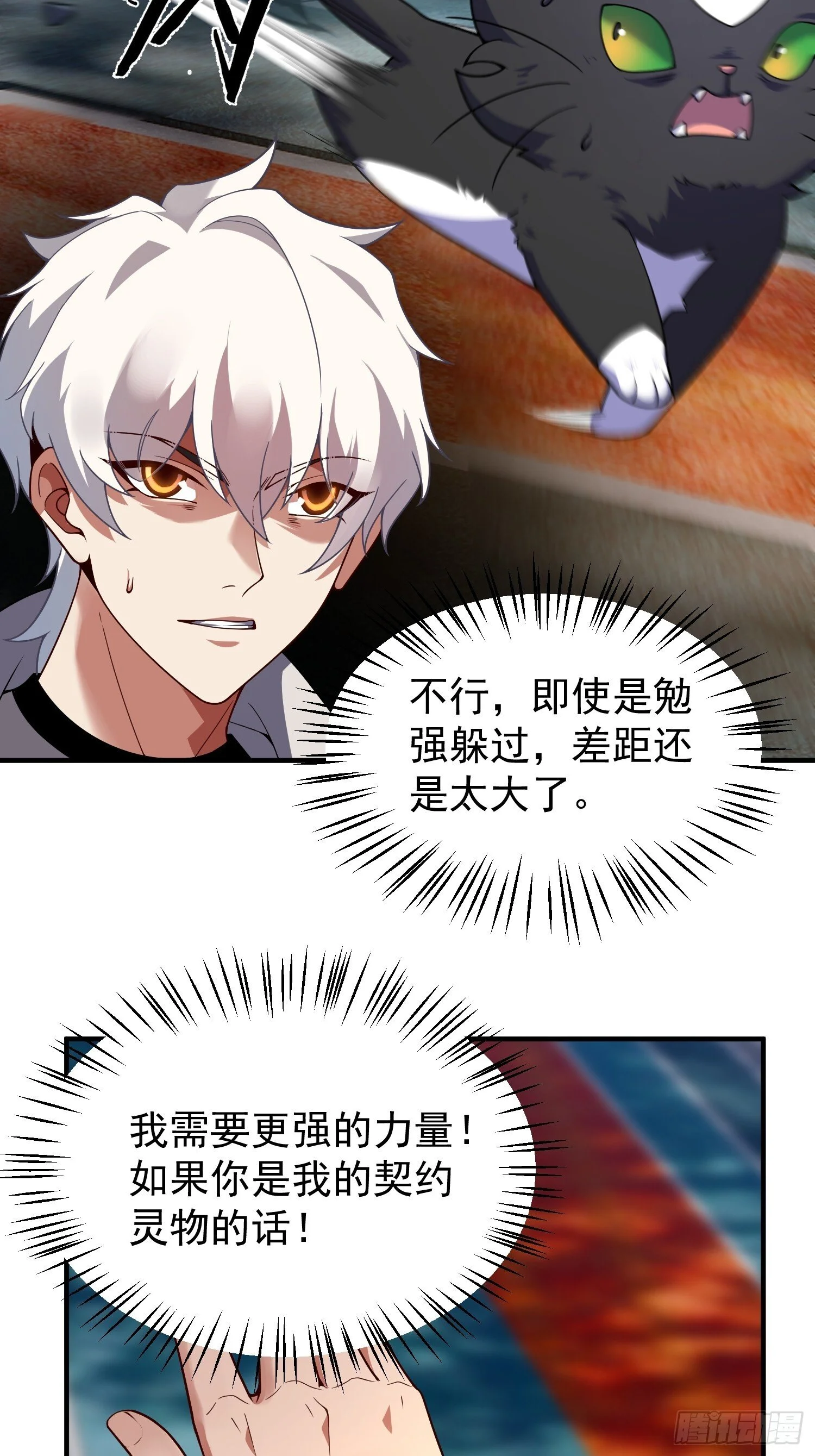 第216页