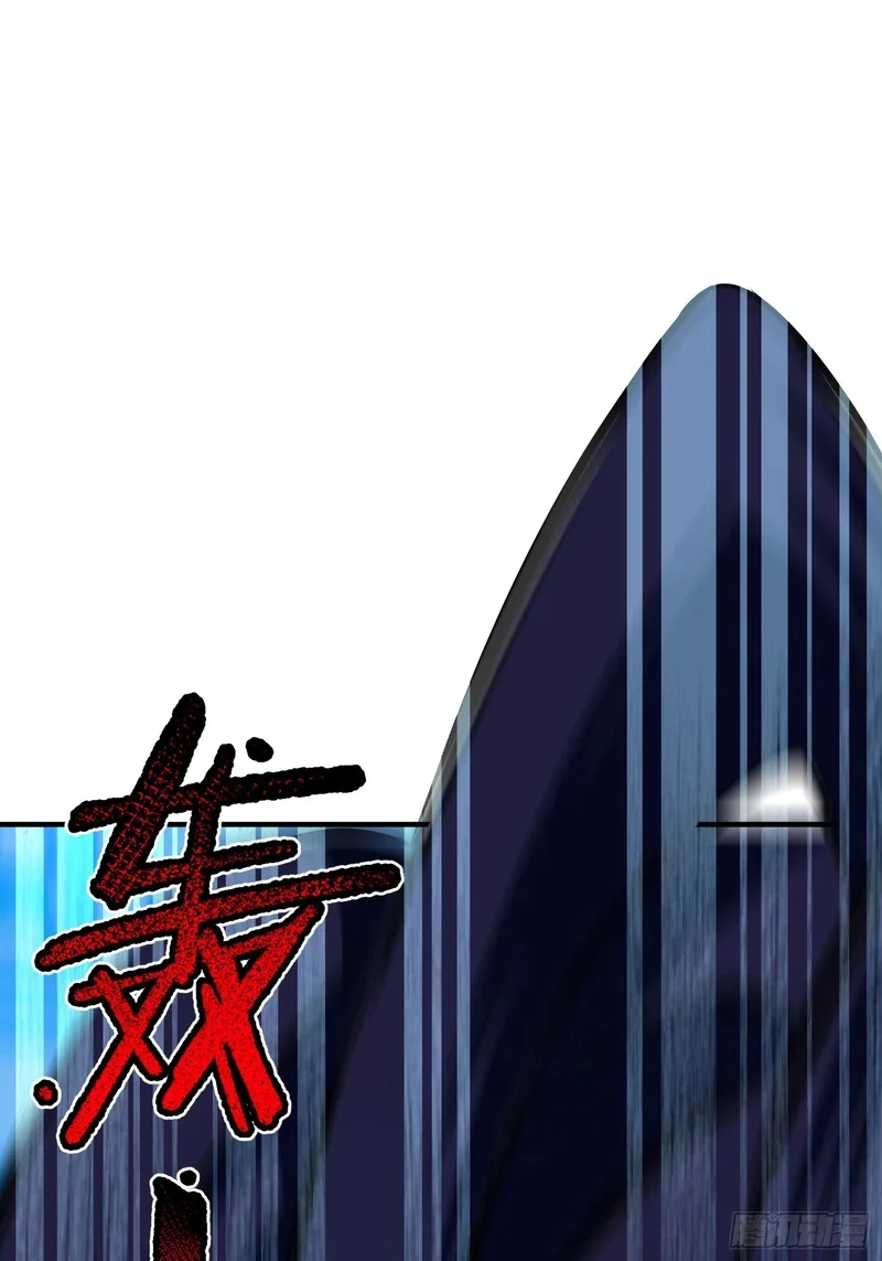 第204页