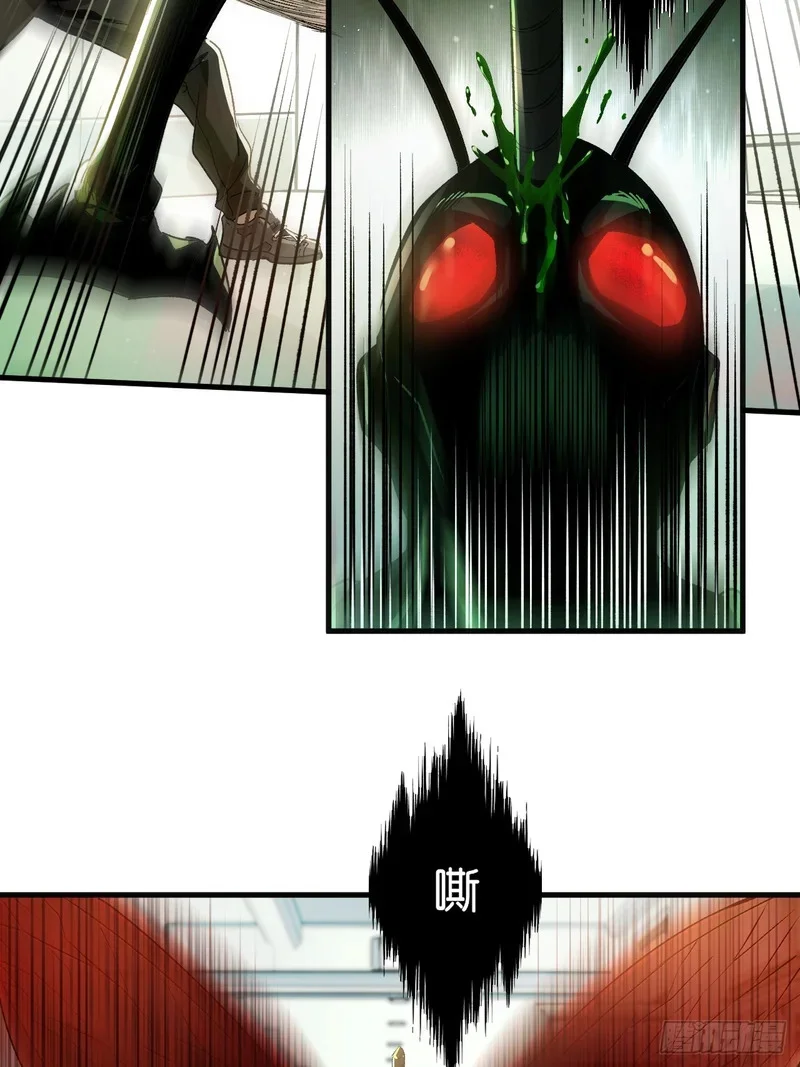 第219页