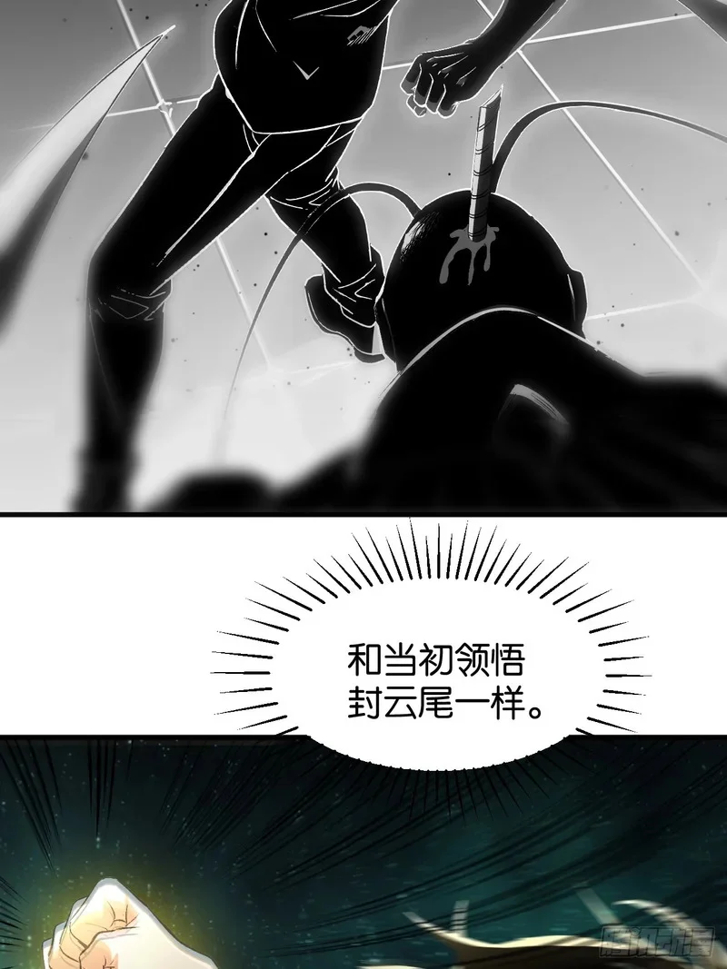 第255页