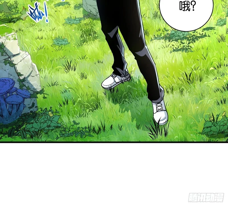 第135页