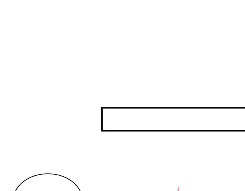第567页