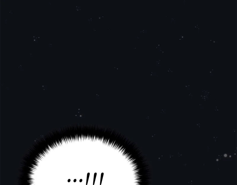 第369页