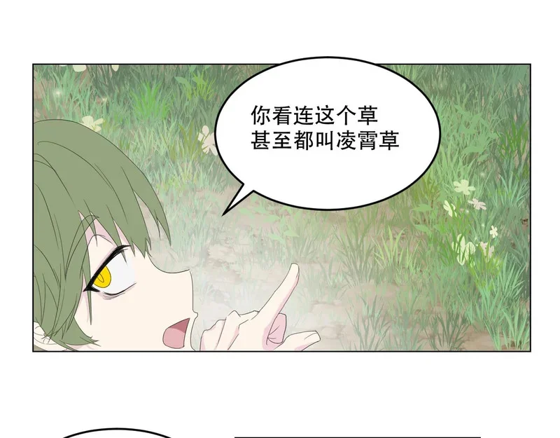 第228页