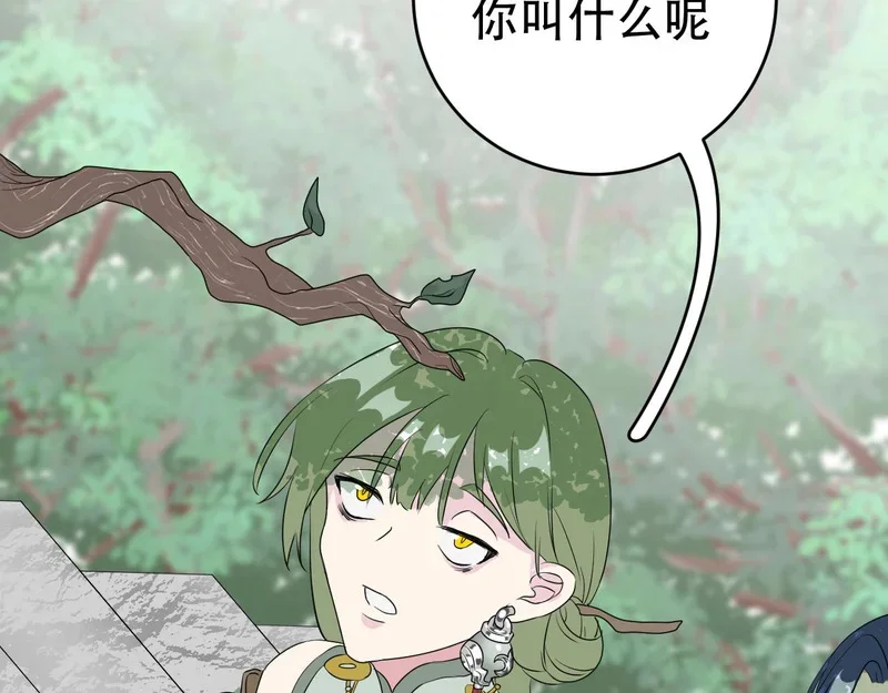 第213页