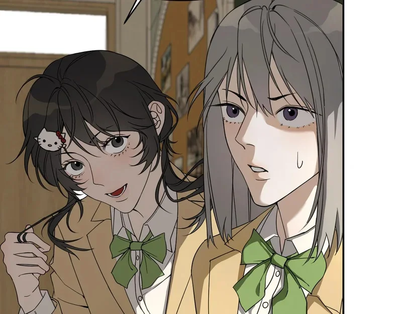 第213页