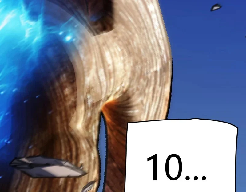 第300页