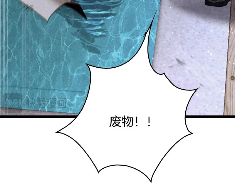 第243页