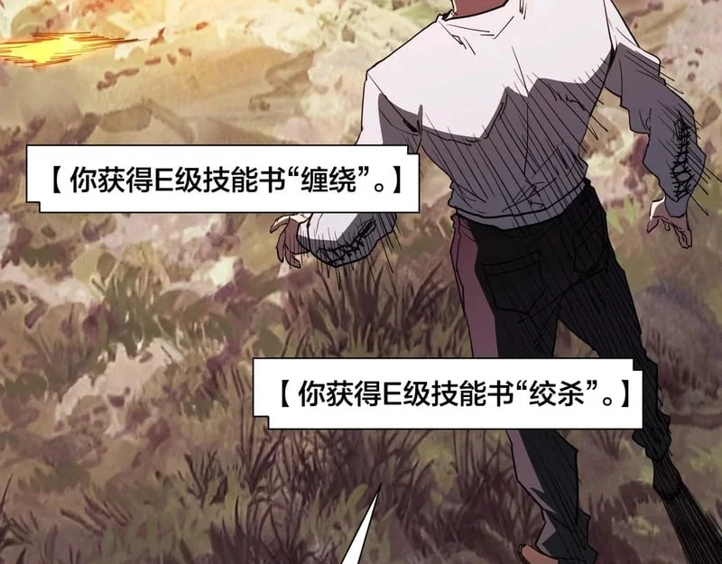 第207页
