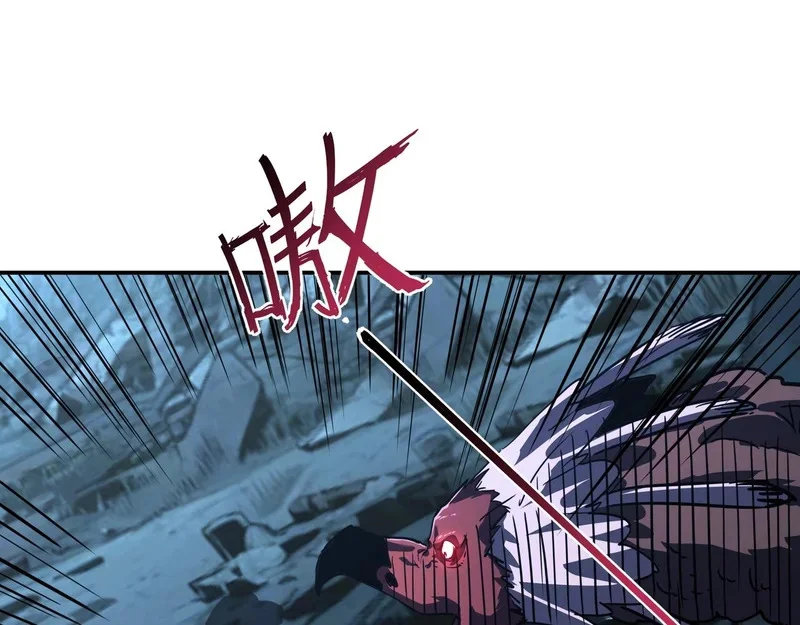 第243页