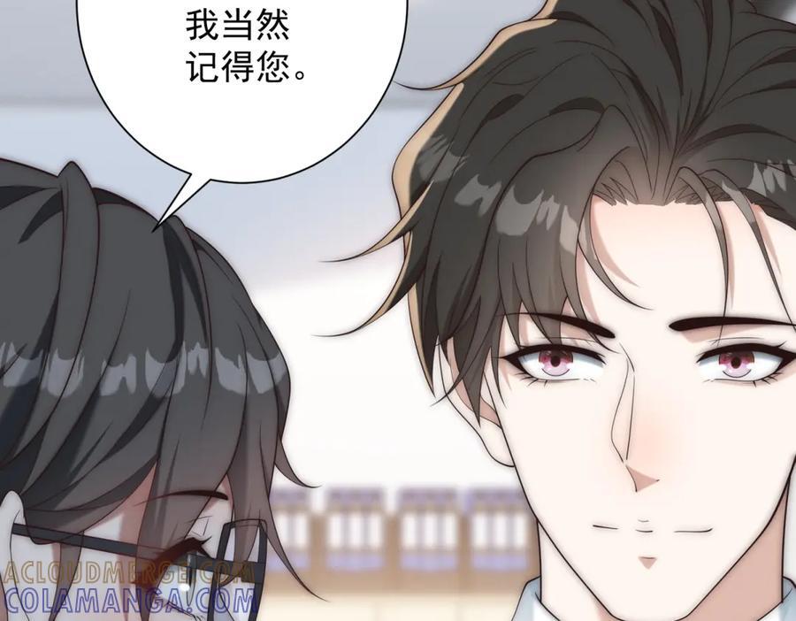第204页