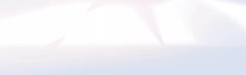 第303页