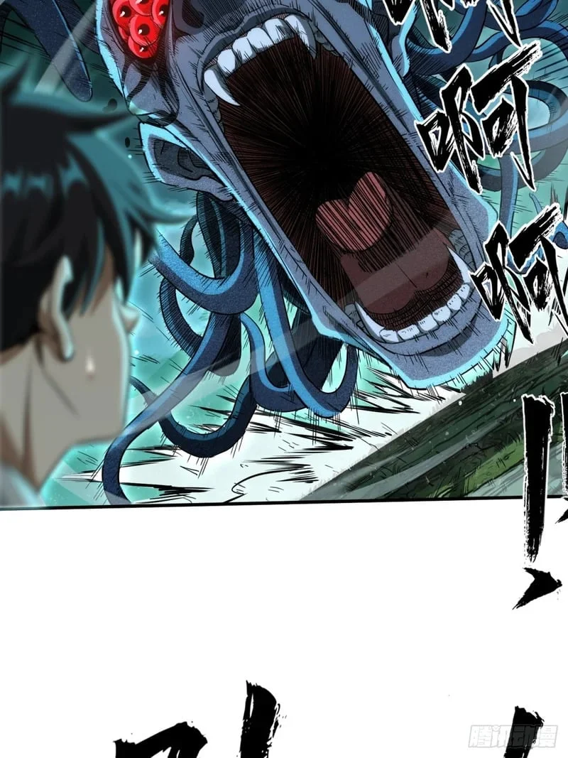 第255页