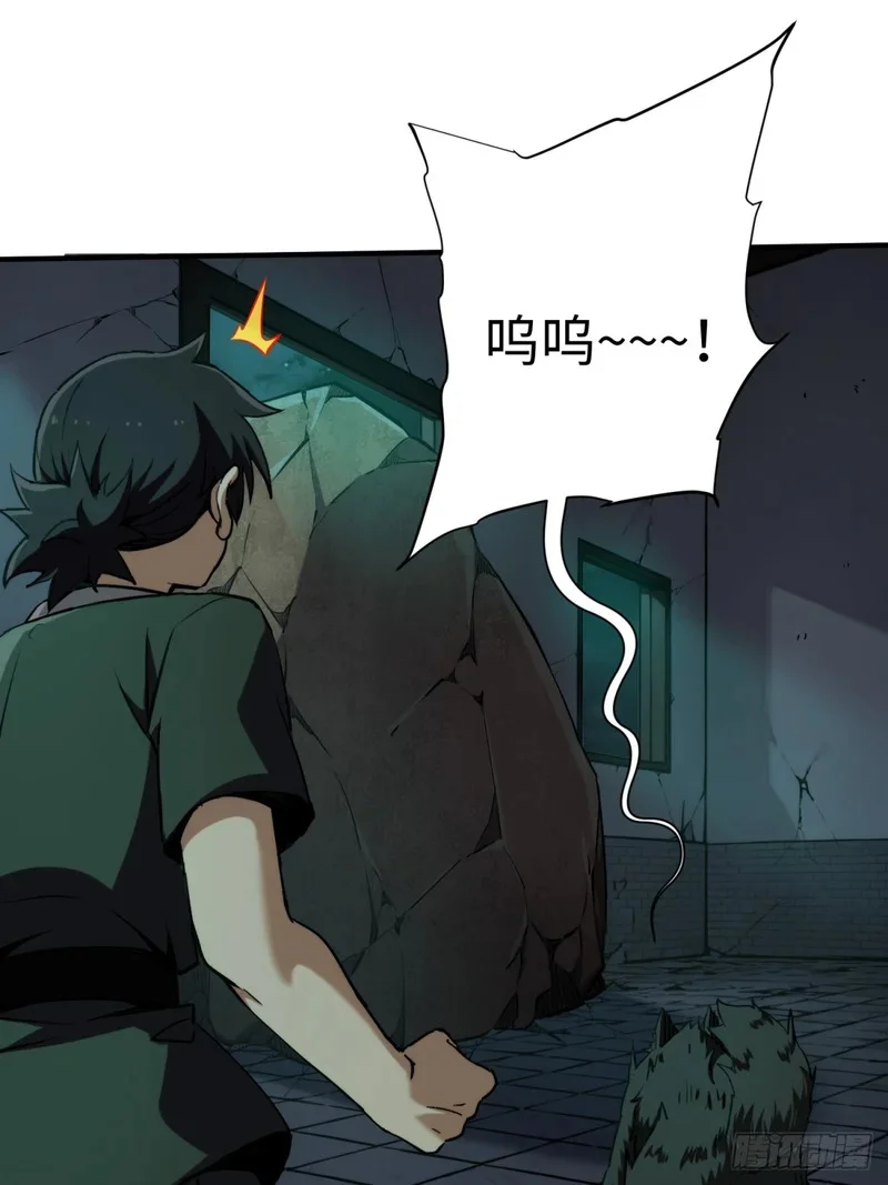 第219页