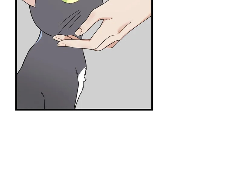 第201页