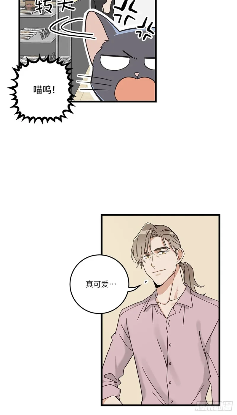 第243页