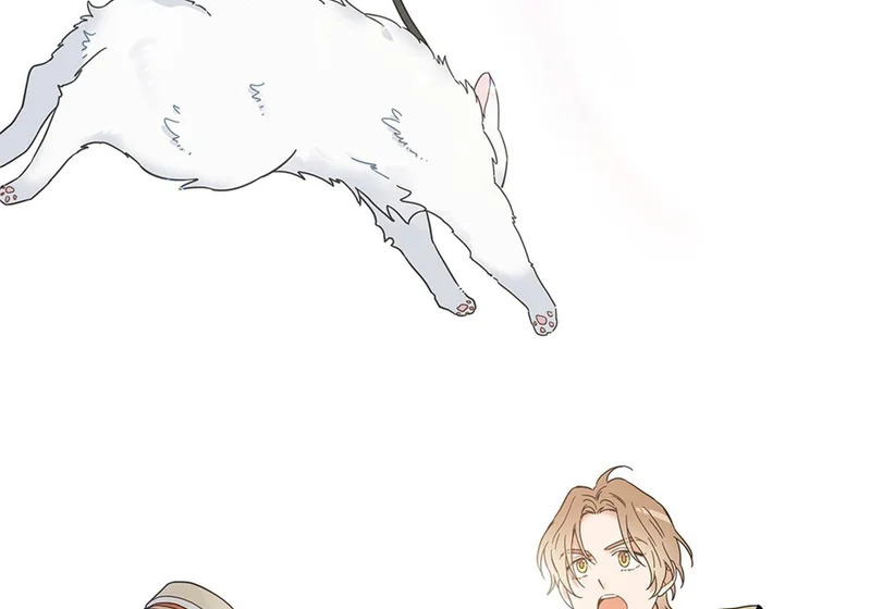第477页