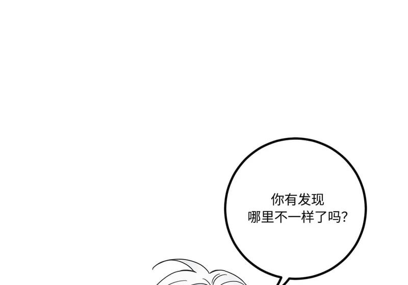 第423页