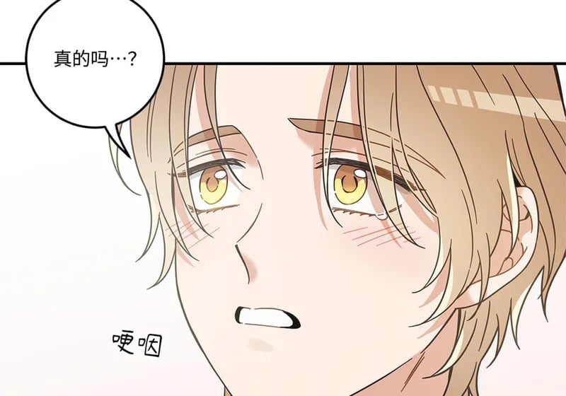 第459页