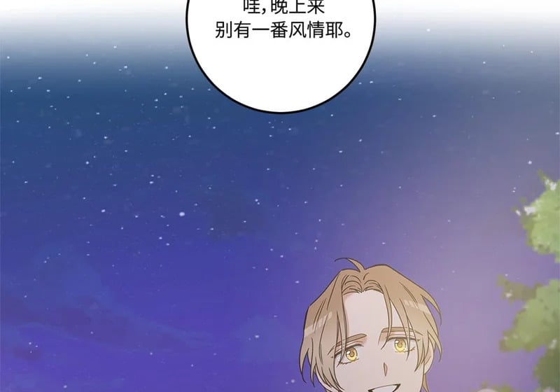 第279页