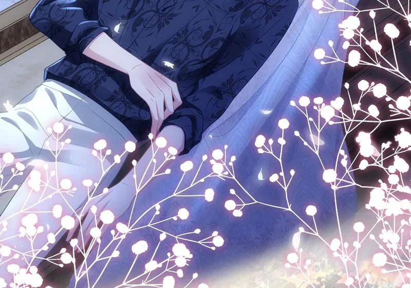 第204页