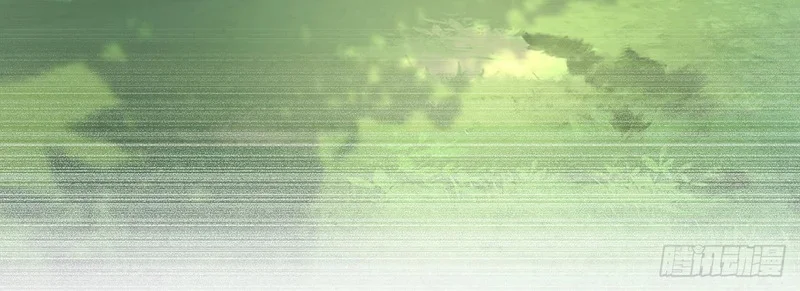 第216页