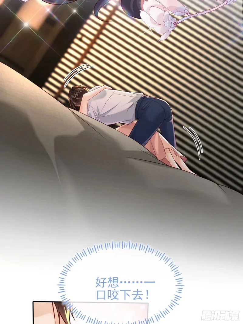第204页